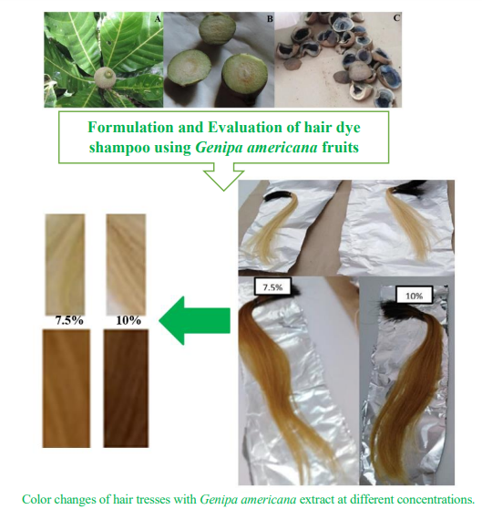 Graphical Abstract